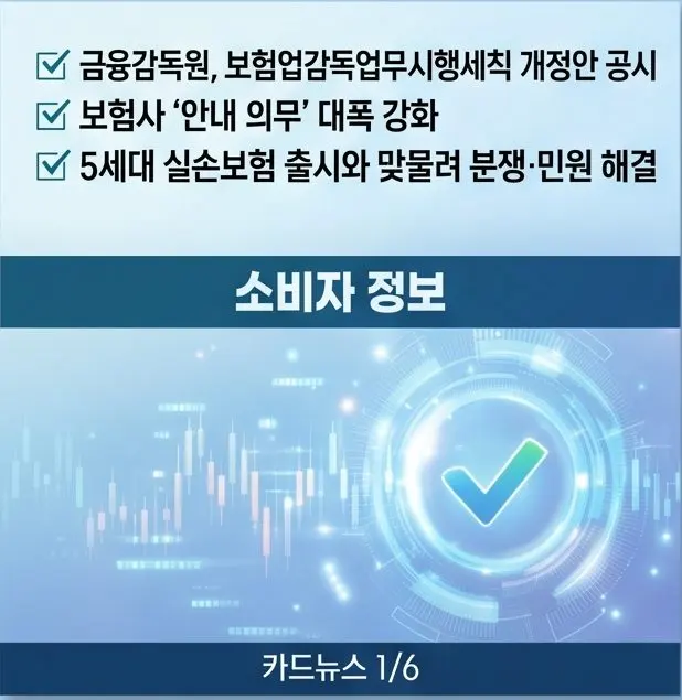 보험금 지급 심사 절차와 과잉 진료 등 피해사례 유의 사항도 함께 설명
